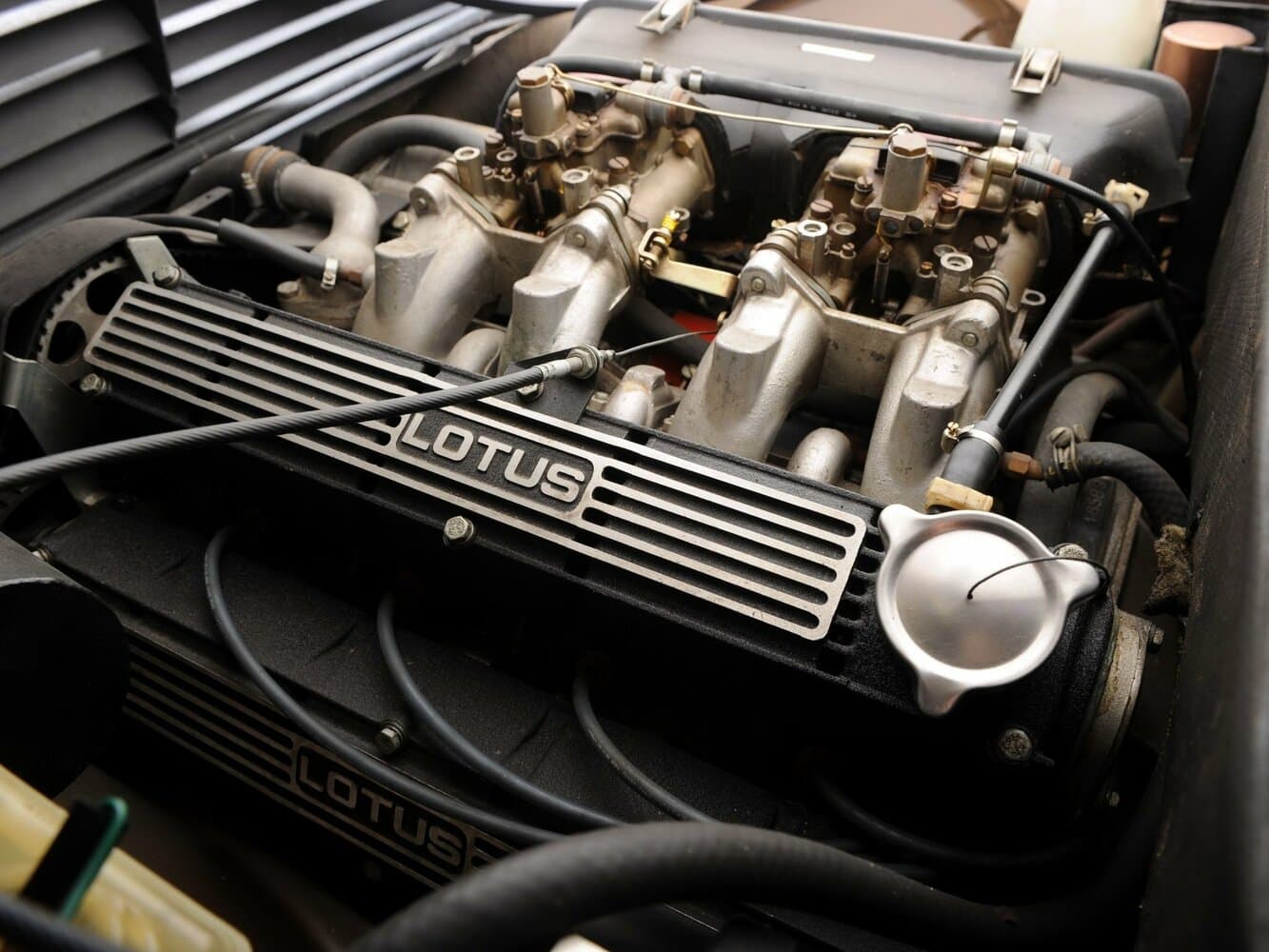 Lotus Eclat