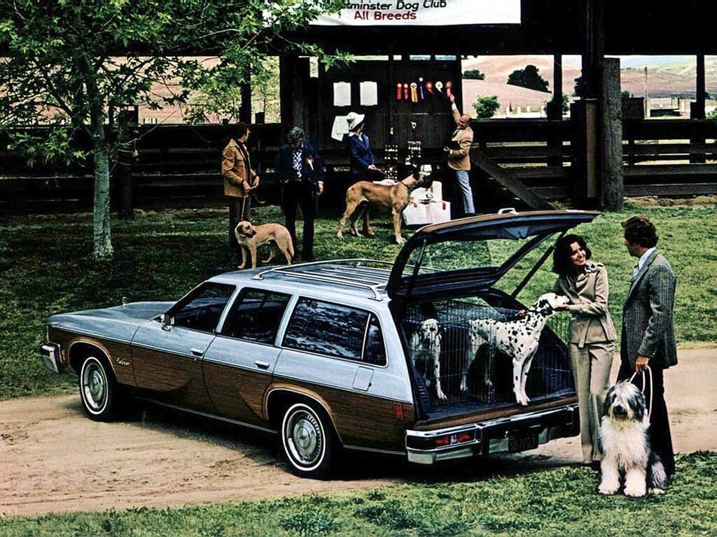 Oldsmobile Vista Cruiser