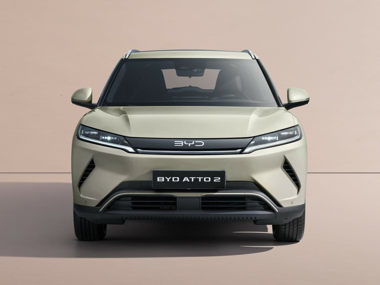BYD Atto 2