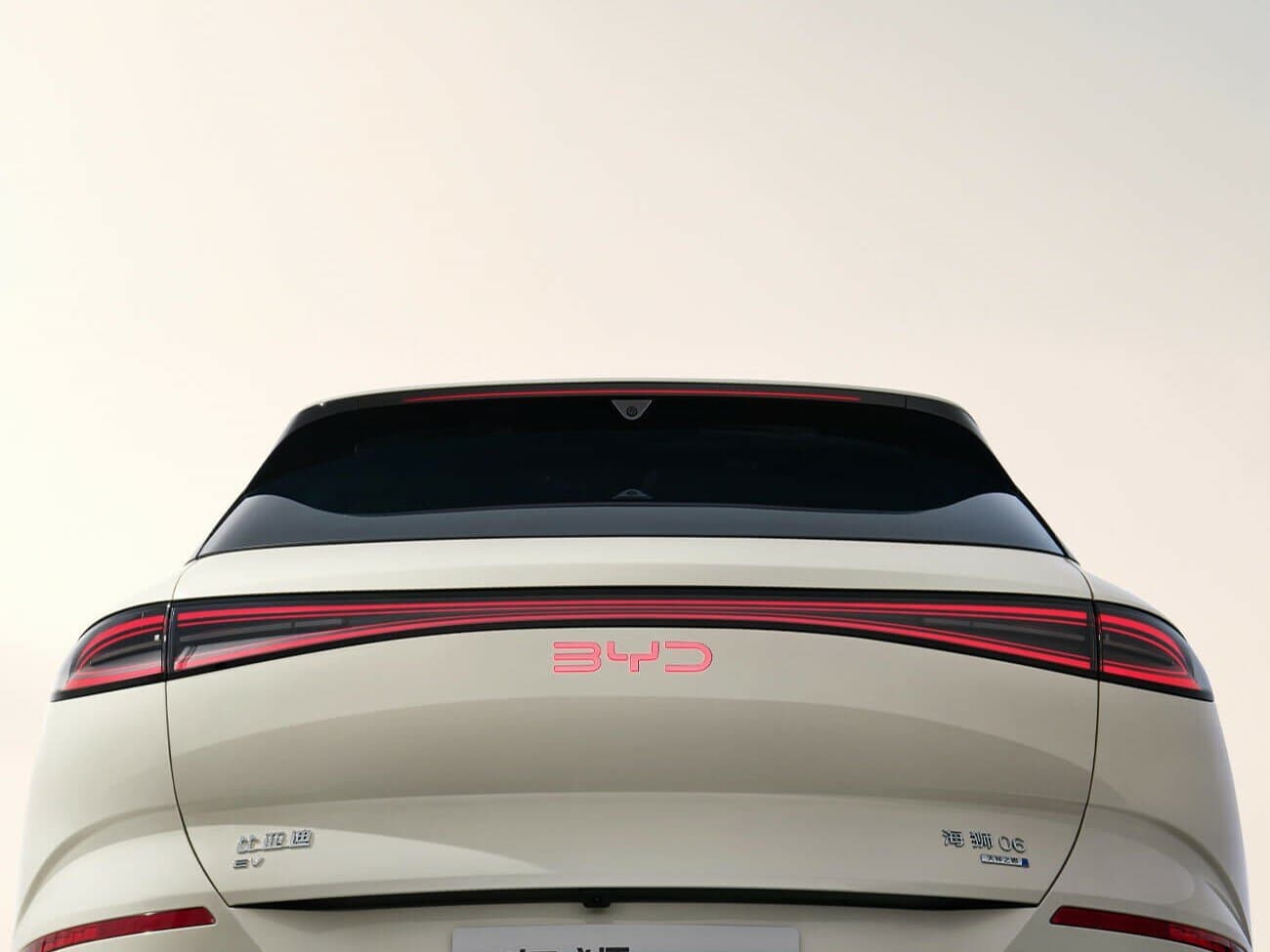 BYD Sea Lion 06