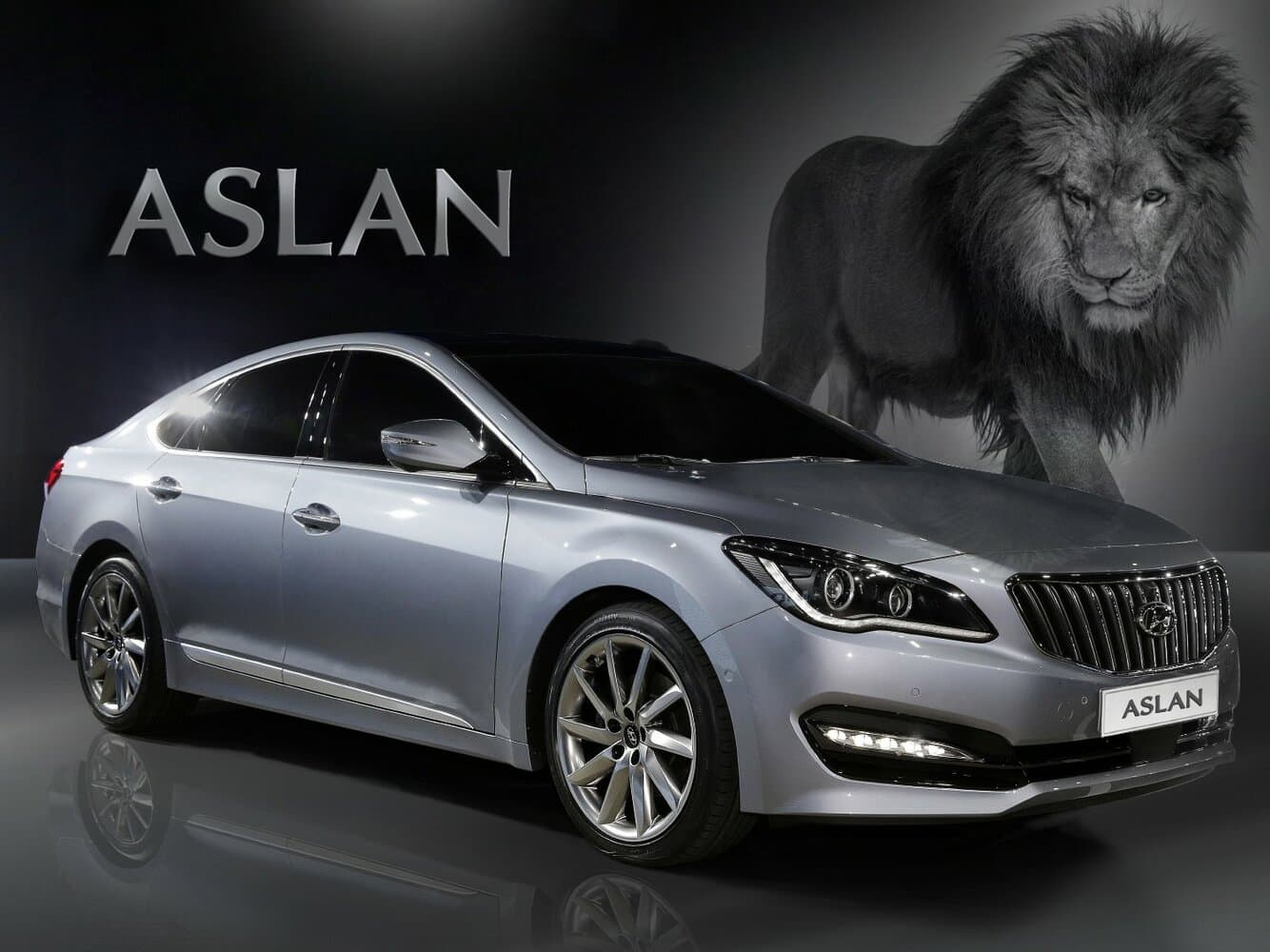 Hyundai Aslan 