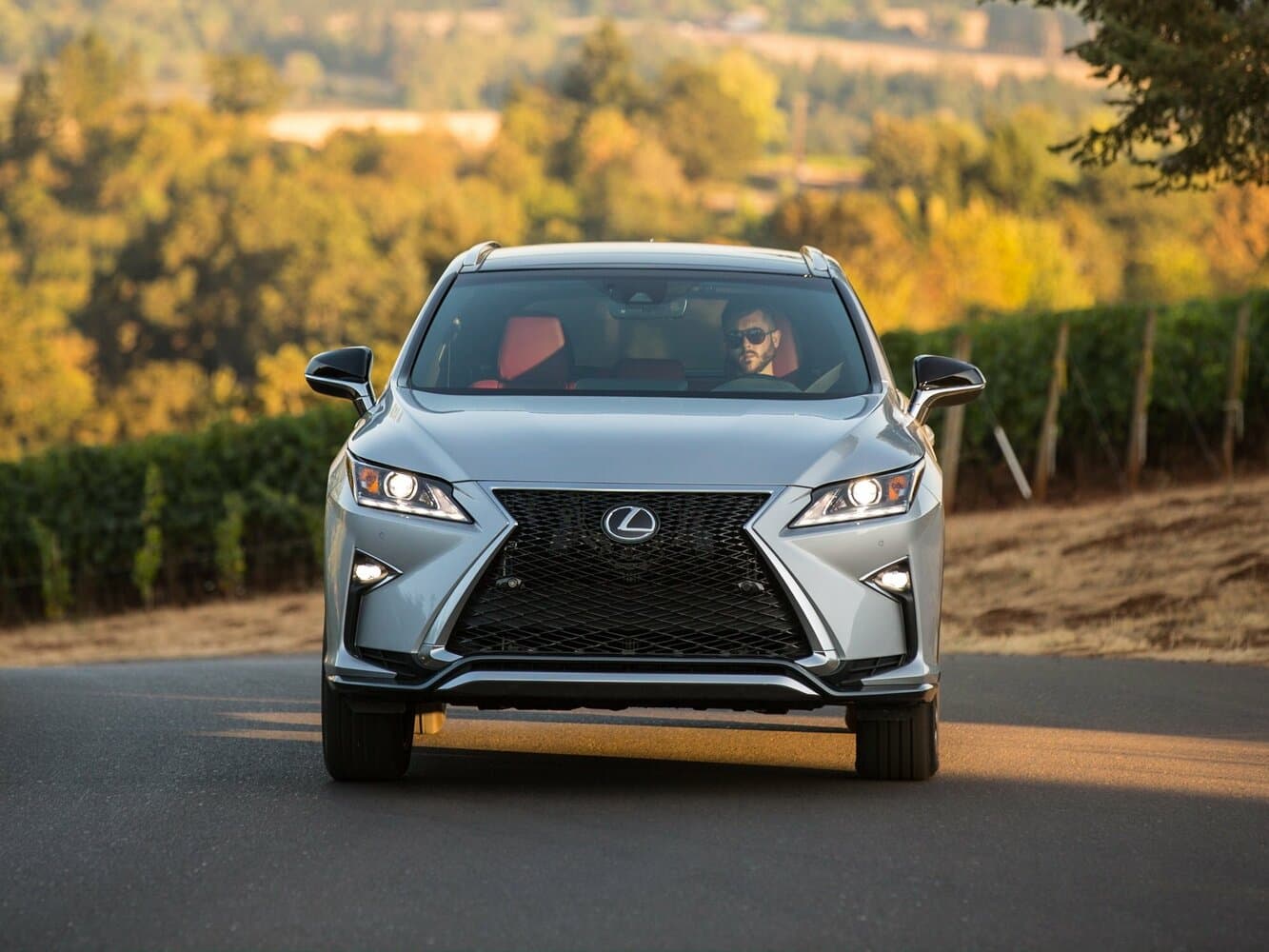 Lexus RX IV Внедорожник 5 дв., фото 3
