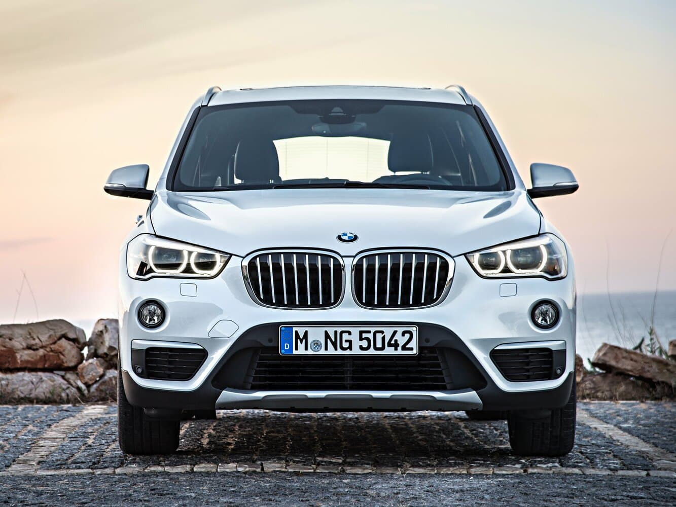 BMW X1 II (F48) Внедорожник 5 дв., фото 3