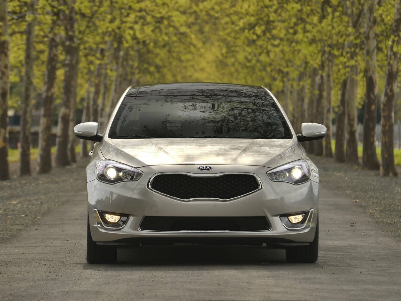 Kia Cadenza I Рестайлинг Седан, фото 3