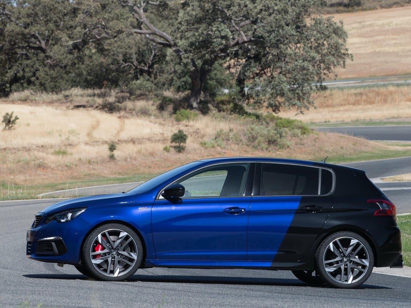 Peugeot, 308 GTi, I Рестайлинг, 2019, фото 7