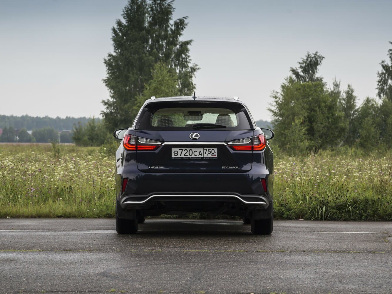 Lexus RX IV Внедорожник 5 дв. L, фото 15