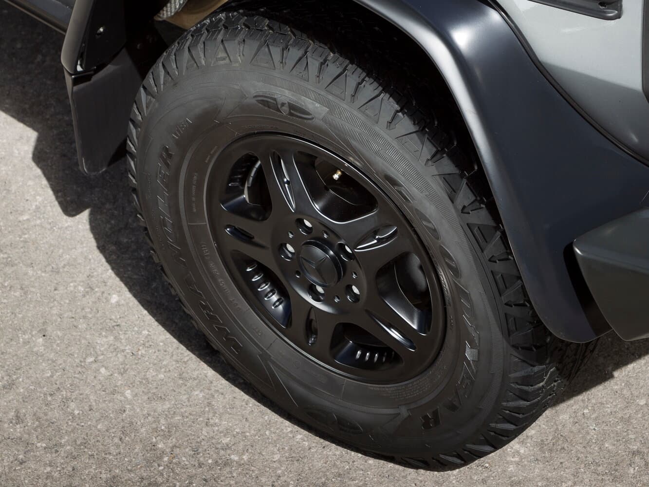 Mercedes-Benz G-Class I (W461) Professional Внедорожник 5 дв., фото 18