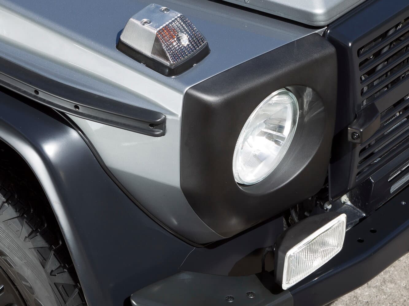 Mercedes-Benz G-Class I (W461) Professional Внедорожник 5 дв., фото 14