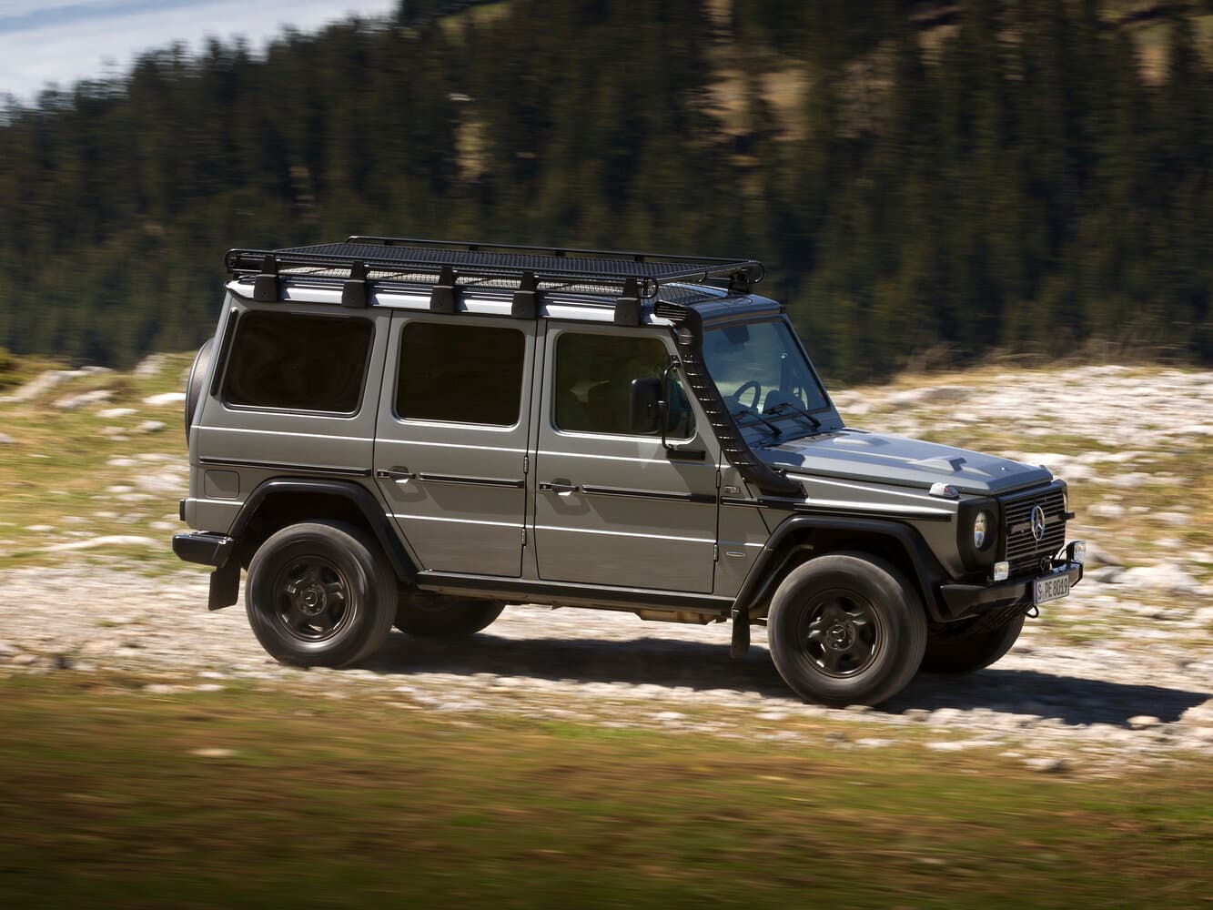 Mercedes-Benz G-Class I (W461) Professional Внедорожник 5 дв., фото 2