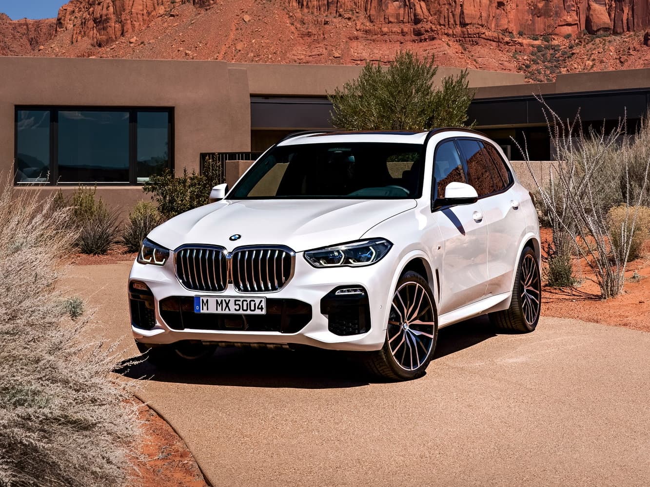 BMW X5 IV (G05/G18) Внедорожник 5 дв.