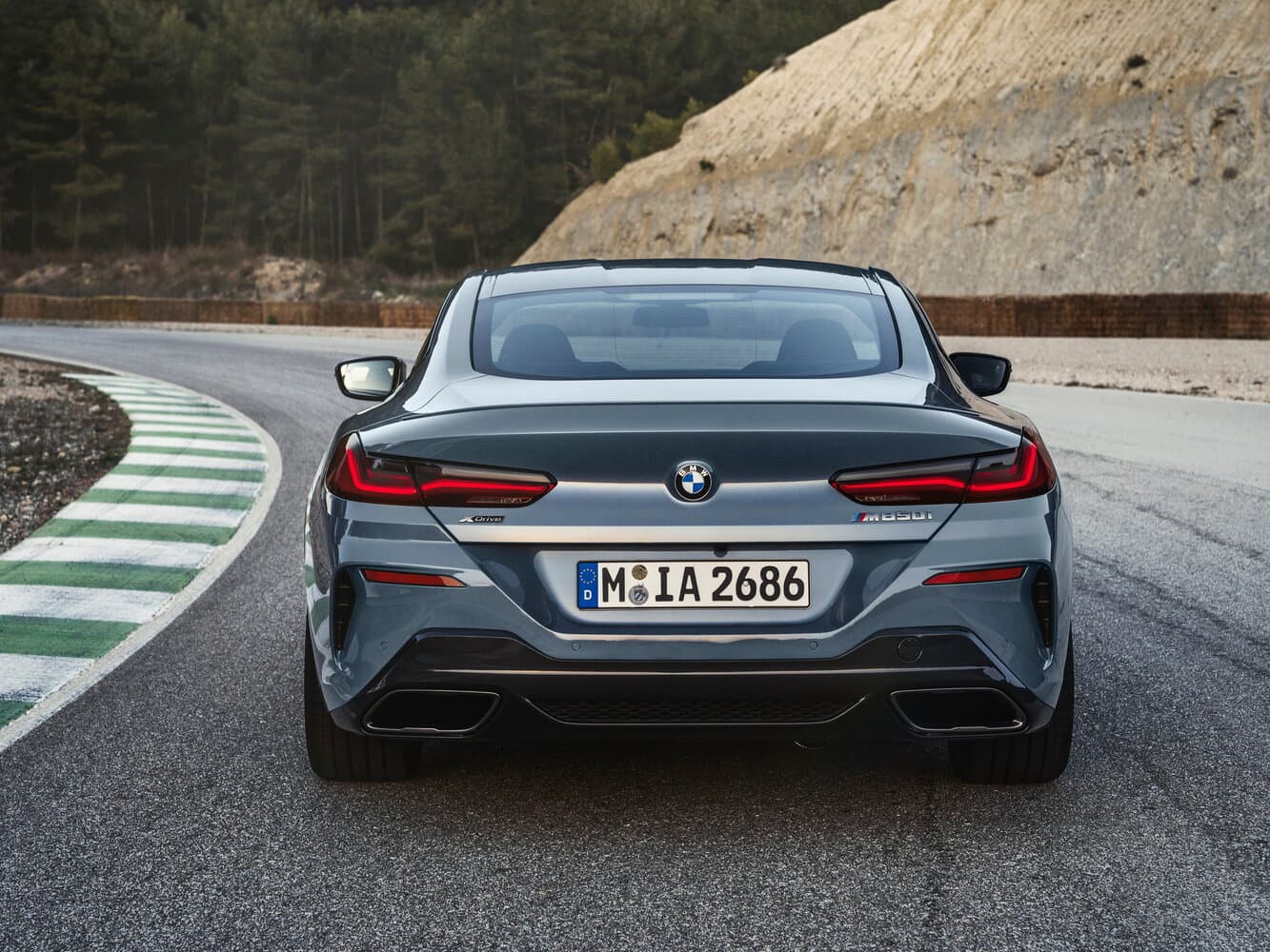 BMW 8 series II (G14/G15/G16) Купе, фото 4