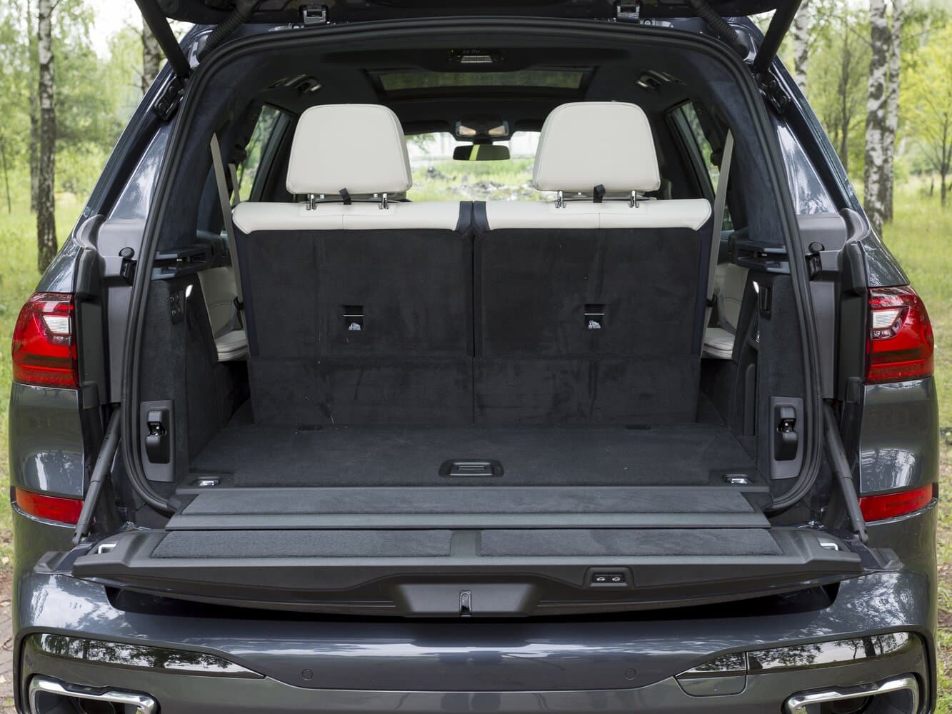 BMW, X7, I (G07), 2022, фото 36