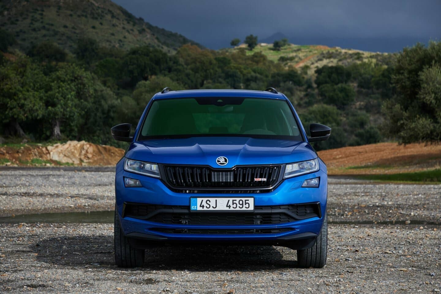 Skoda, Kodiaq RS, I, 2019, фото 11