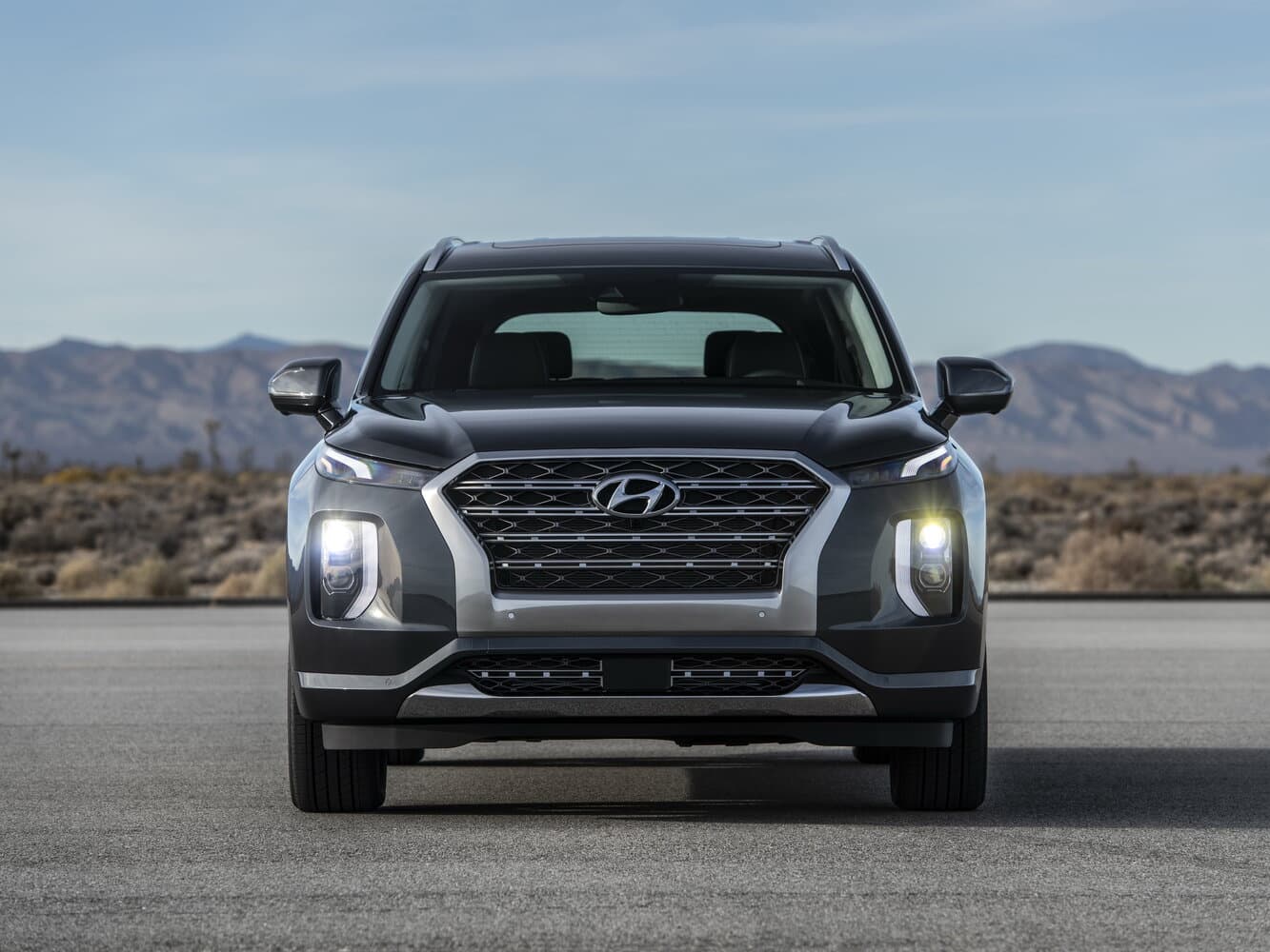 Hyundai Palisade I Внедорожник 5 дв., фото 3