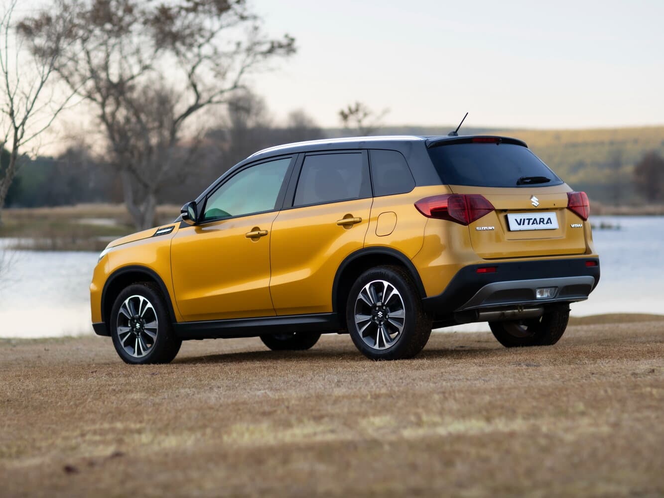 Suzuki, Vitara, II Рестайлинг, 2019, фото 11