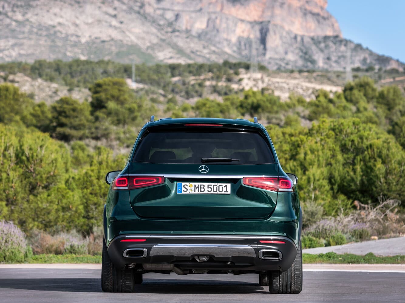 Mercedes-Benz GLS II (X167) Внедорожник 5 дв., фото 4