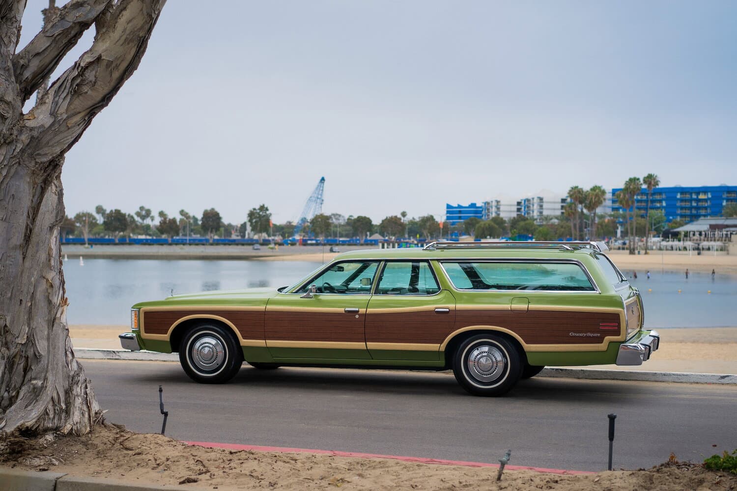 Ford, LTD Country Squire, I, 1973, фото 3