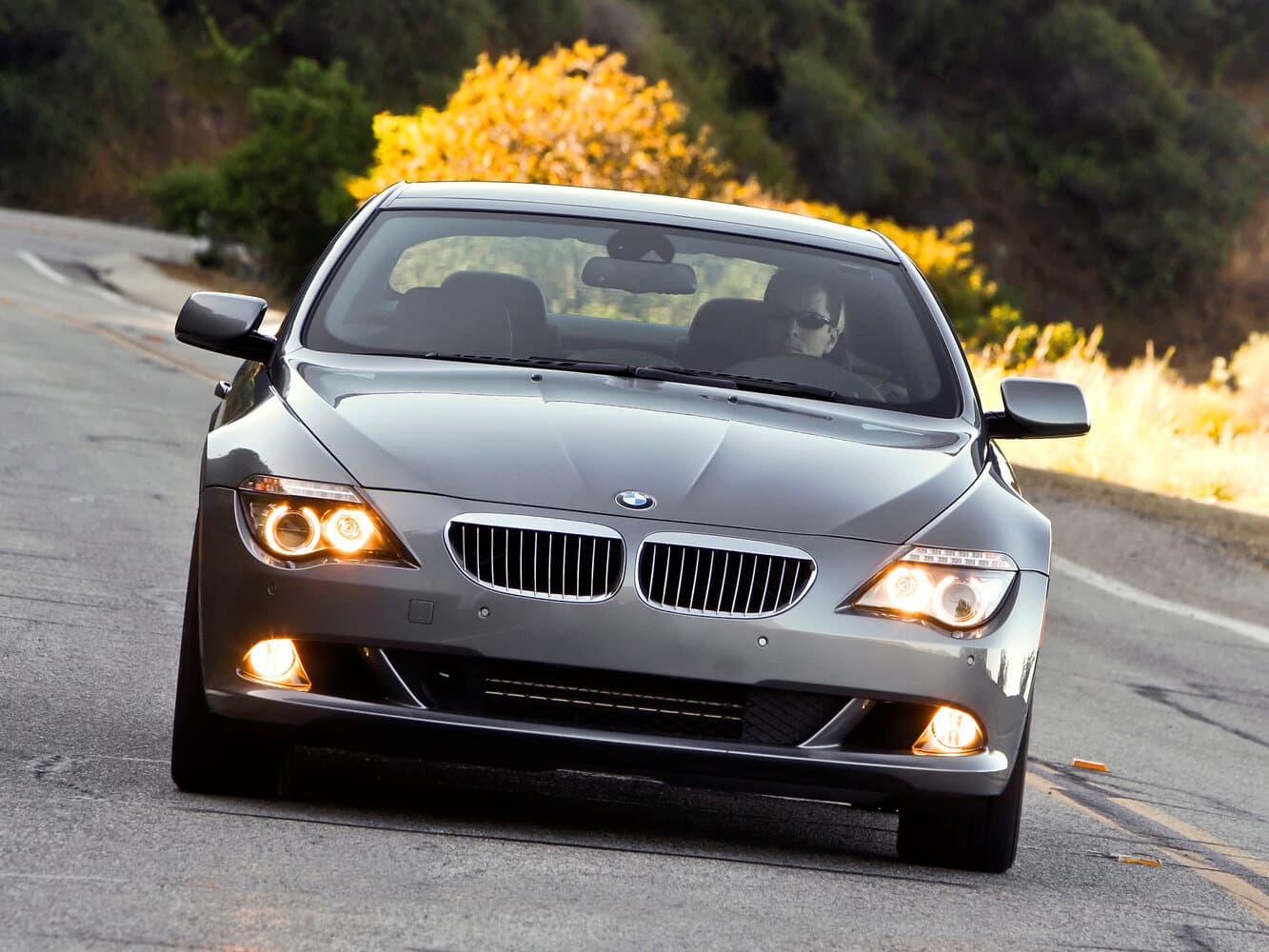 BMW, 6 series, II (E63/E64) Рестайлинг, 2007, фото 9
