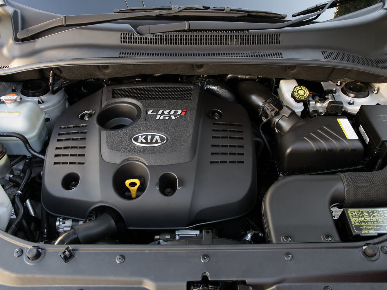 Kia Sportage II Внедорожник 5 дв., фото 14