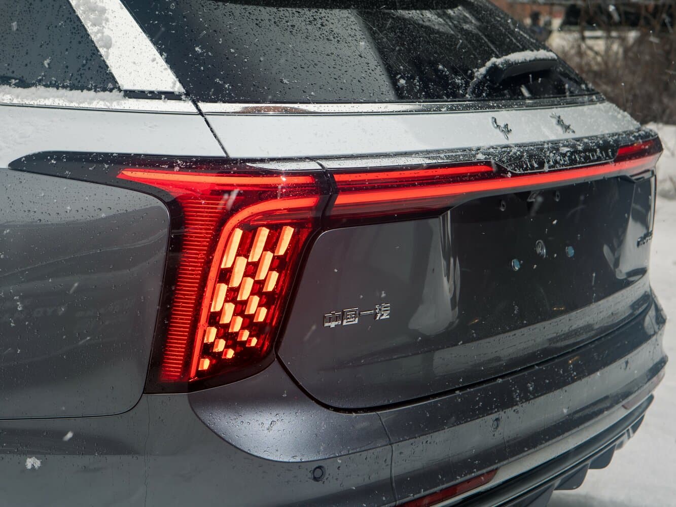 Hongqi, E-HS9, 2023, фото 5
