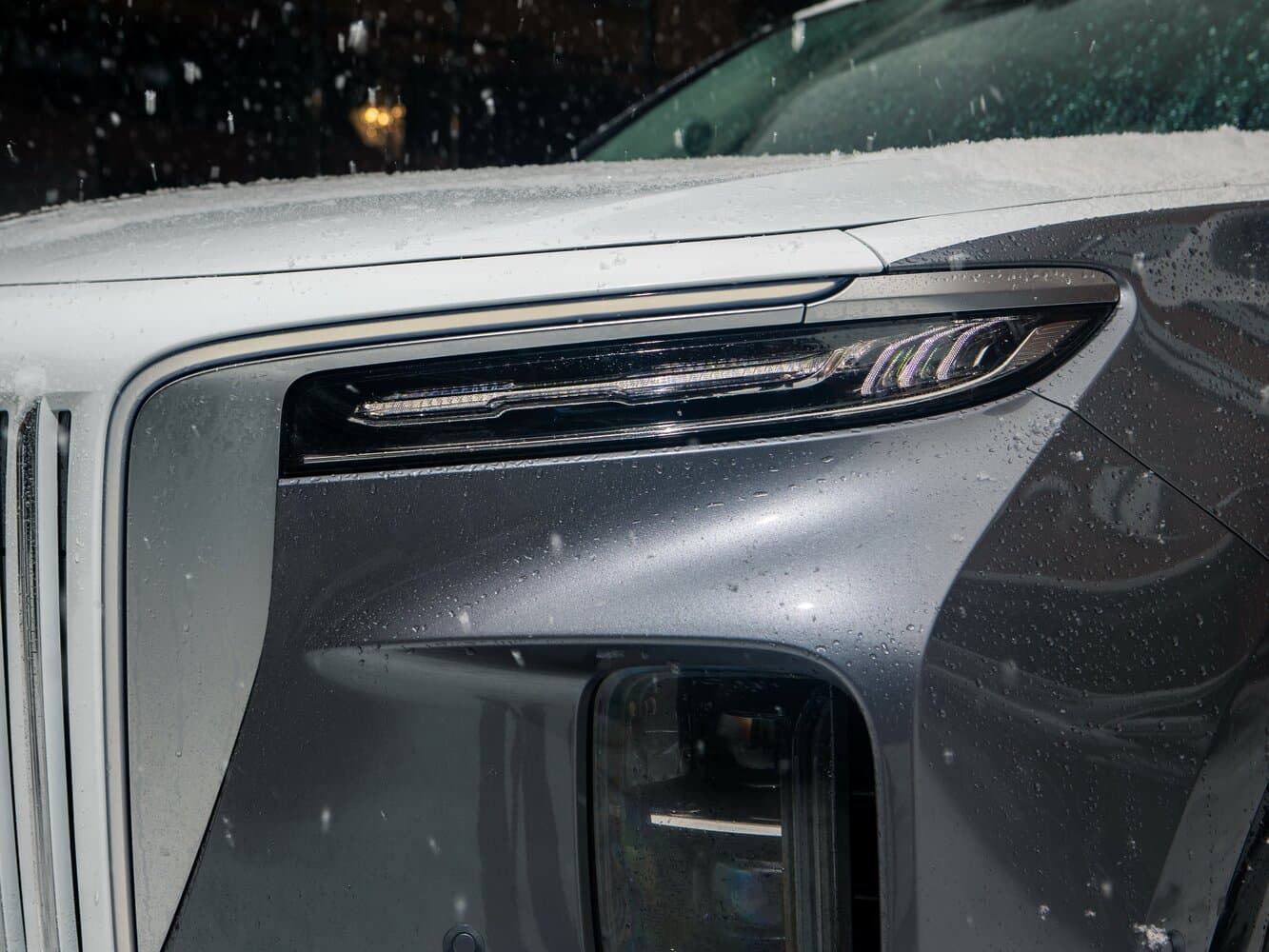 Hongqi, E-HS9, 2023, фото 7