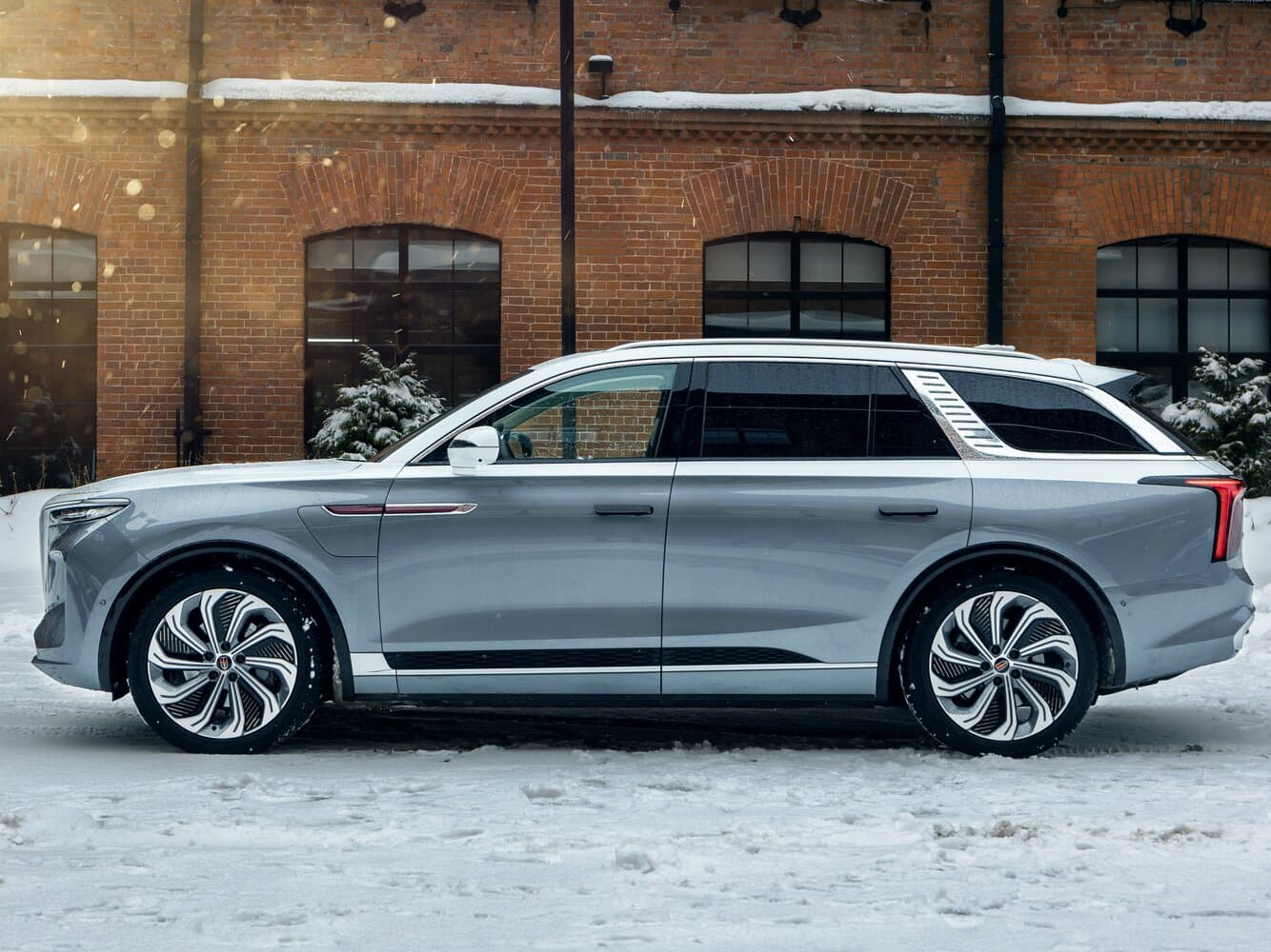 Hongqi, E-HS9, 2023, фото 4
