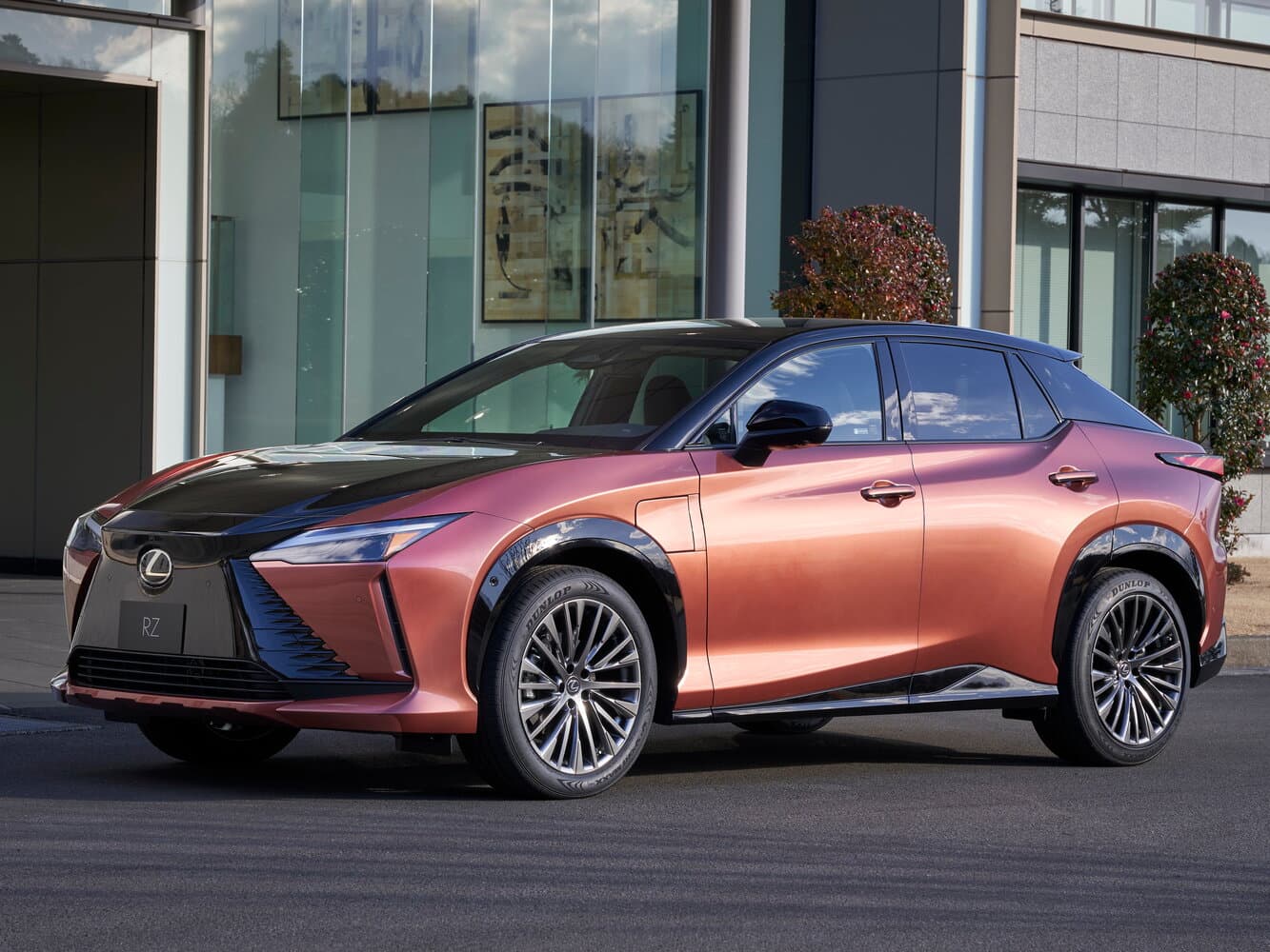 Lexus, RZ, 2025, фото 10