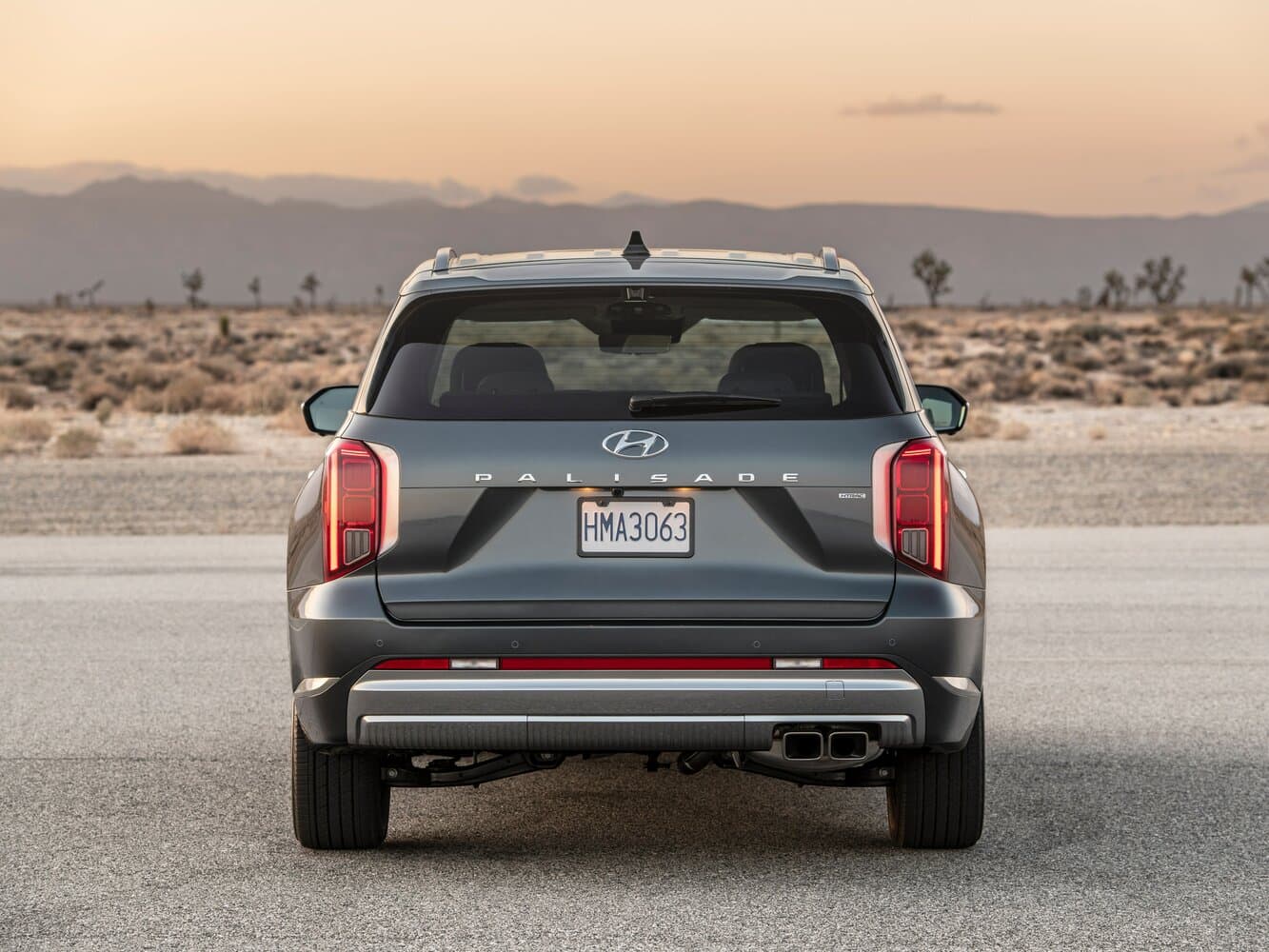 Hyundai Palisade I Рестайлинг Внедорожник 5 дв., фото 4