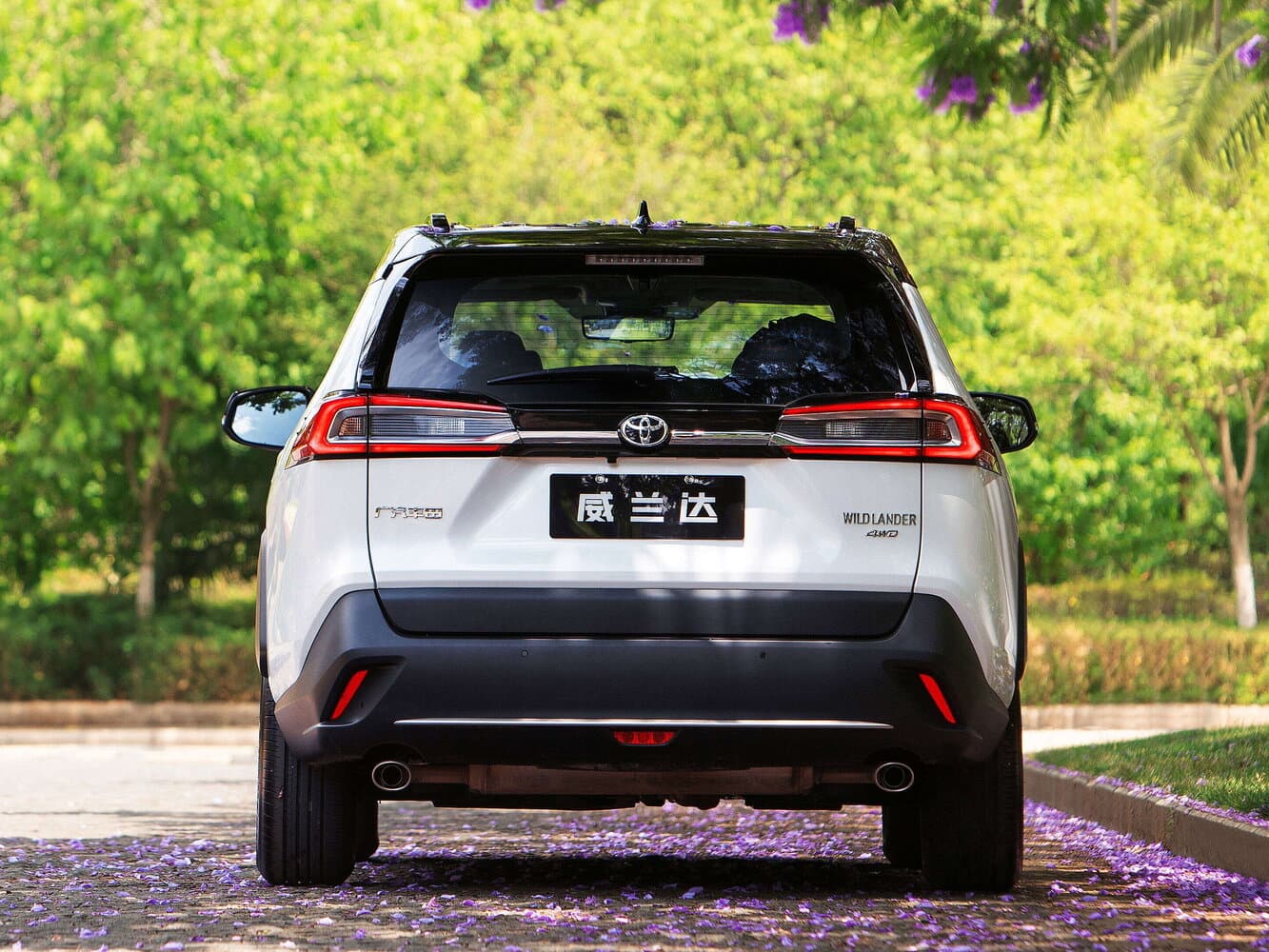 Toyota Wildlander  Внедорожник 5 дв., фото 4