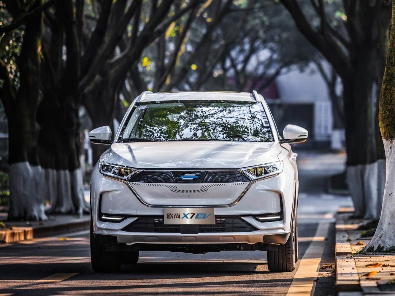 Oshan X7  Внедорожник 5 дв. EV, фото 2
