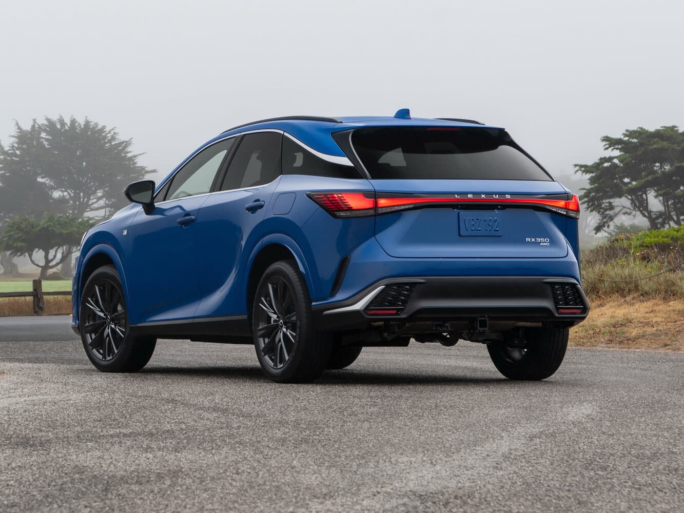 Lexus, RX, V, 2026, фото 29