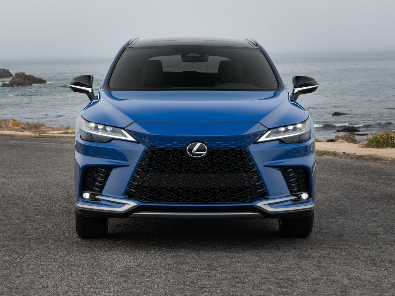 Lexus, RX, V, 2026, фото 28