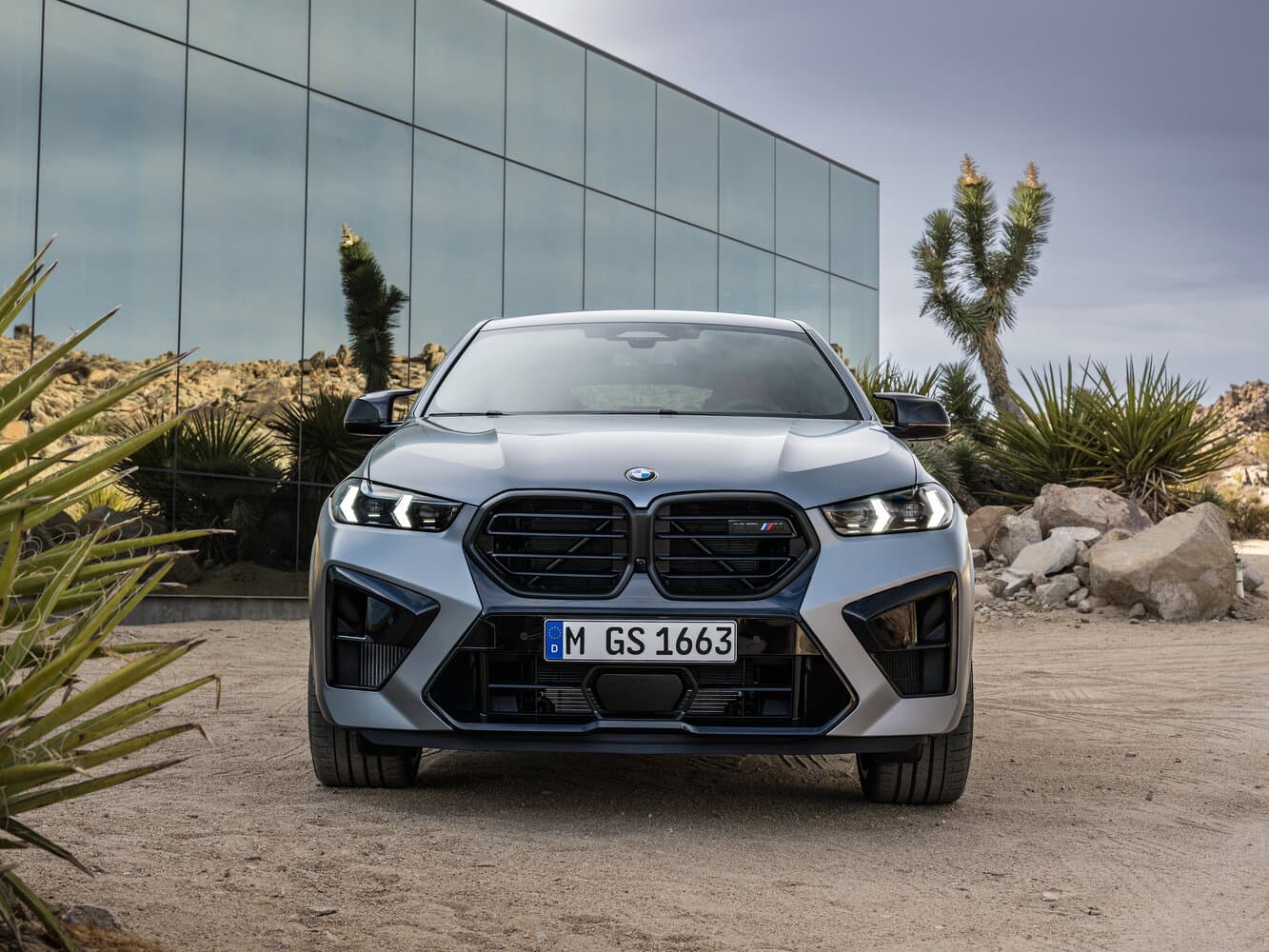 BMW X6 M III (F96) Рестайлинг Внедорожник 5 дв., фото 3