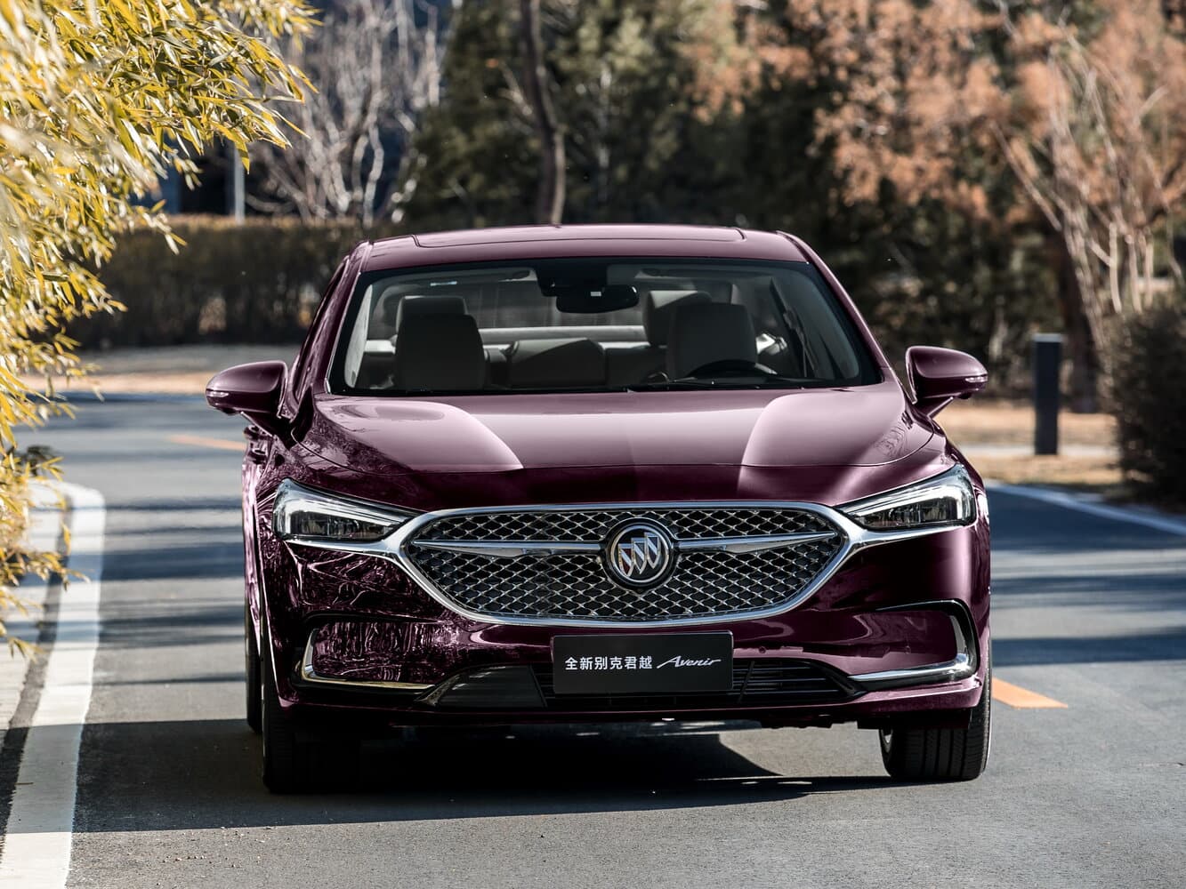 Buick, LaCrosse, III Рестайлинг, 2021, фото 12
