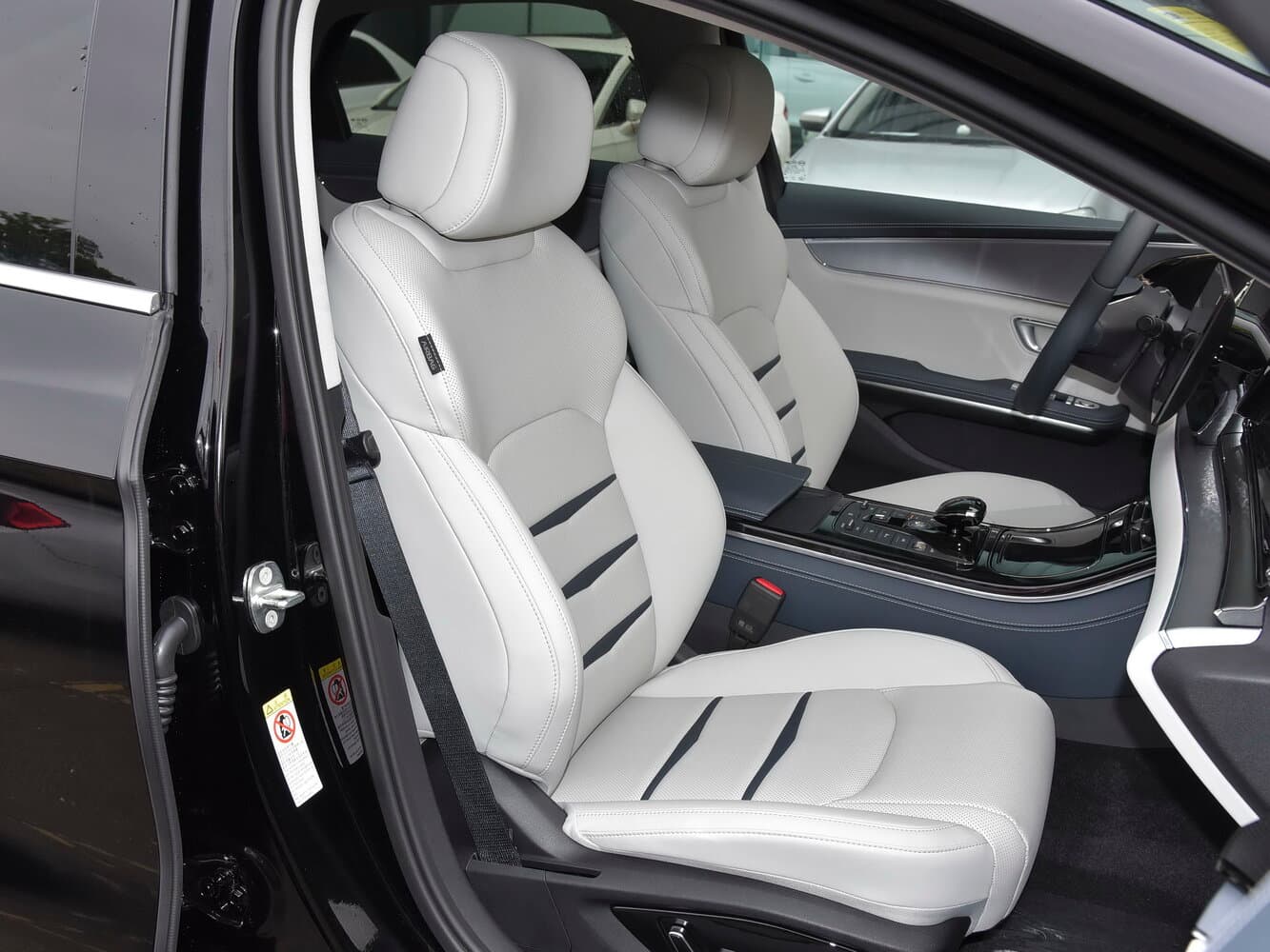 BYD E9  Седан, фото 7