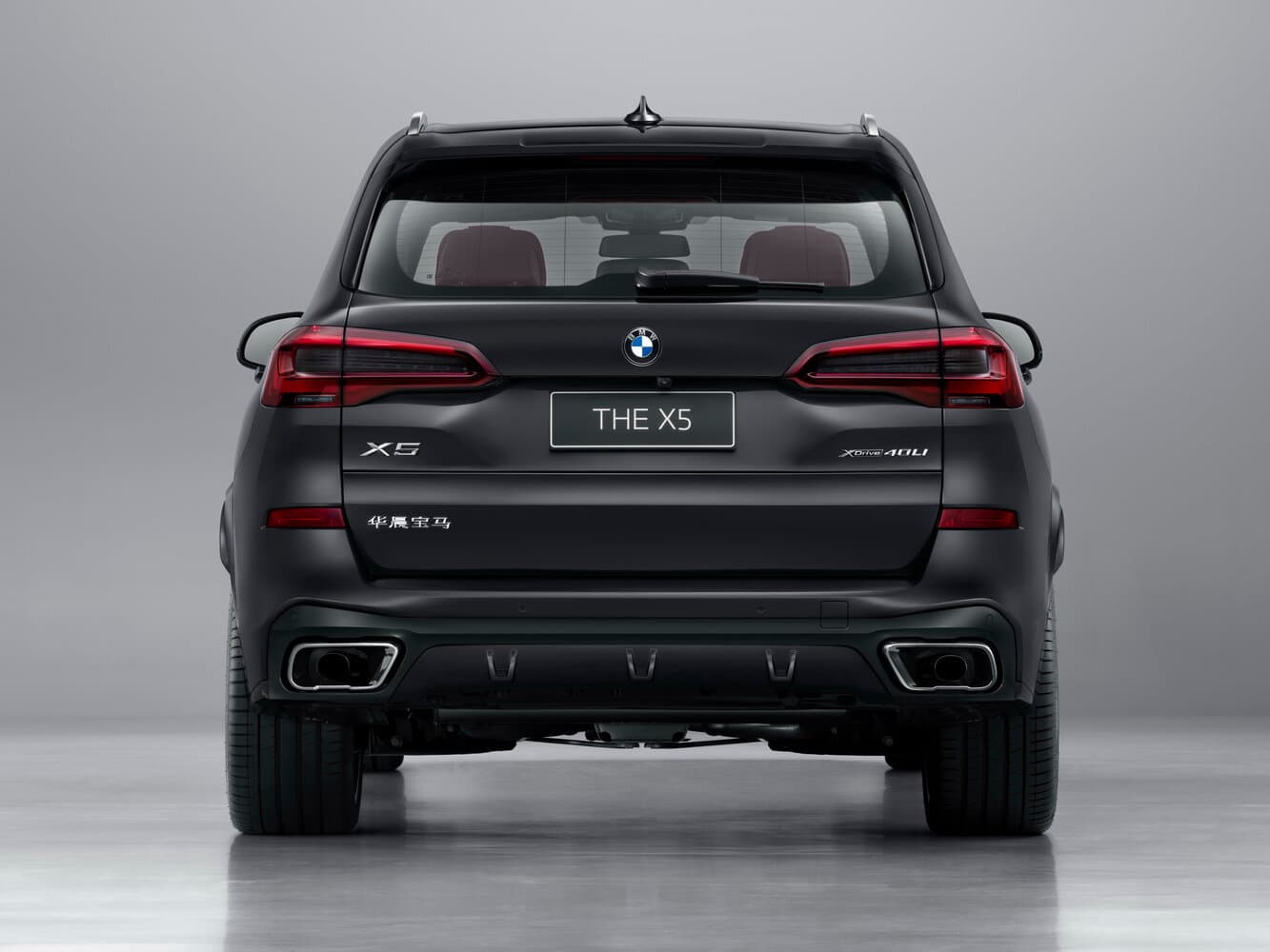 BMW X5 IV (G05/G18) Внедорожник 5 дв. Long, фото 4