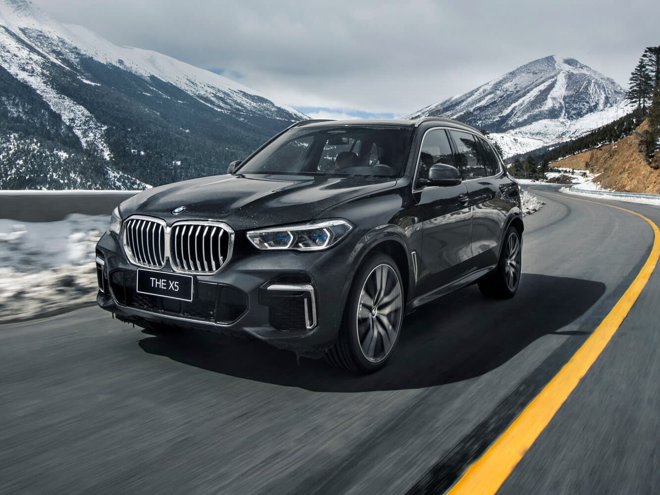BMW X5 IV (G05/G18)