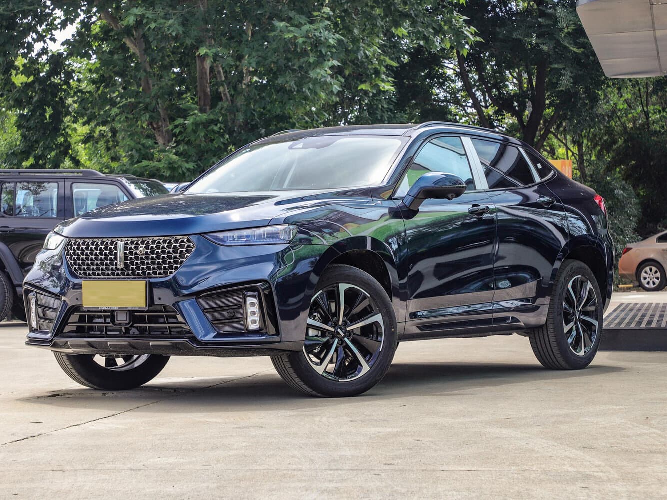 Фото Wey VV7