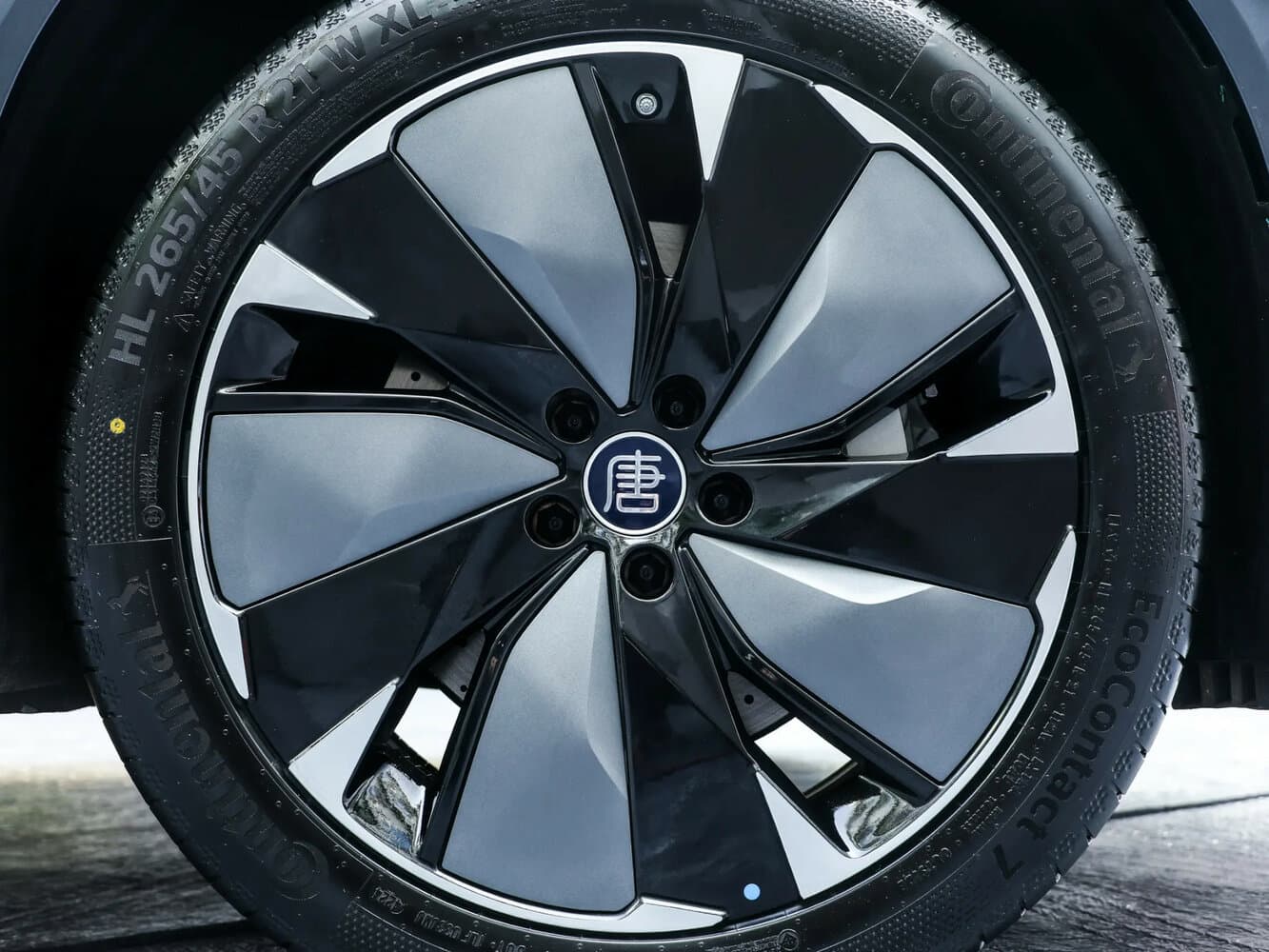 BYD, Tang L, 2026, фото 14