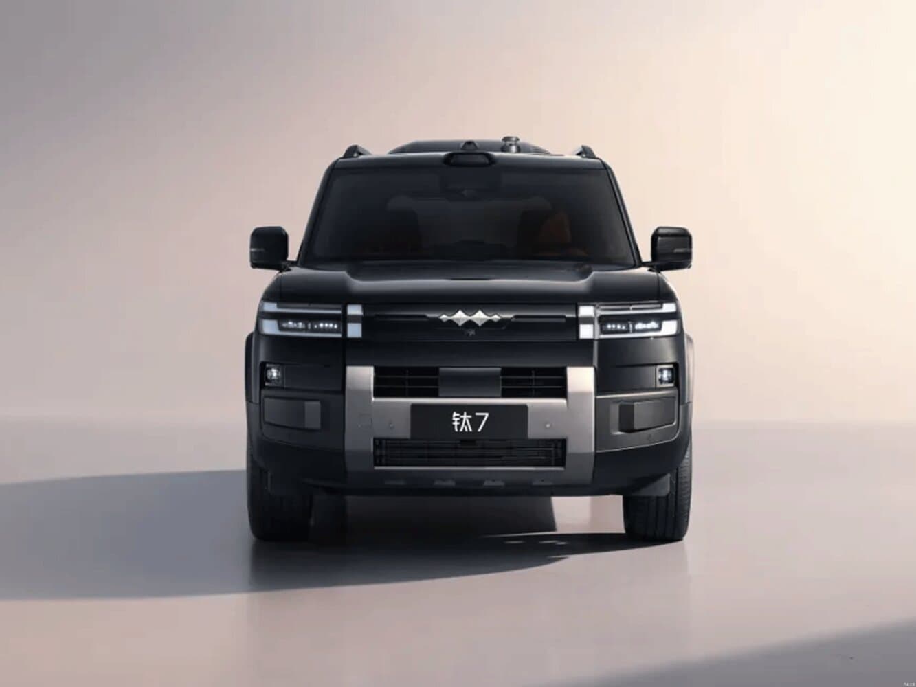 BYD FangChengBao Titanium 7  Внедорожник 5 дв., фото 3