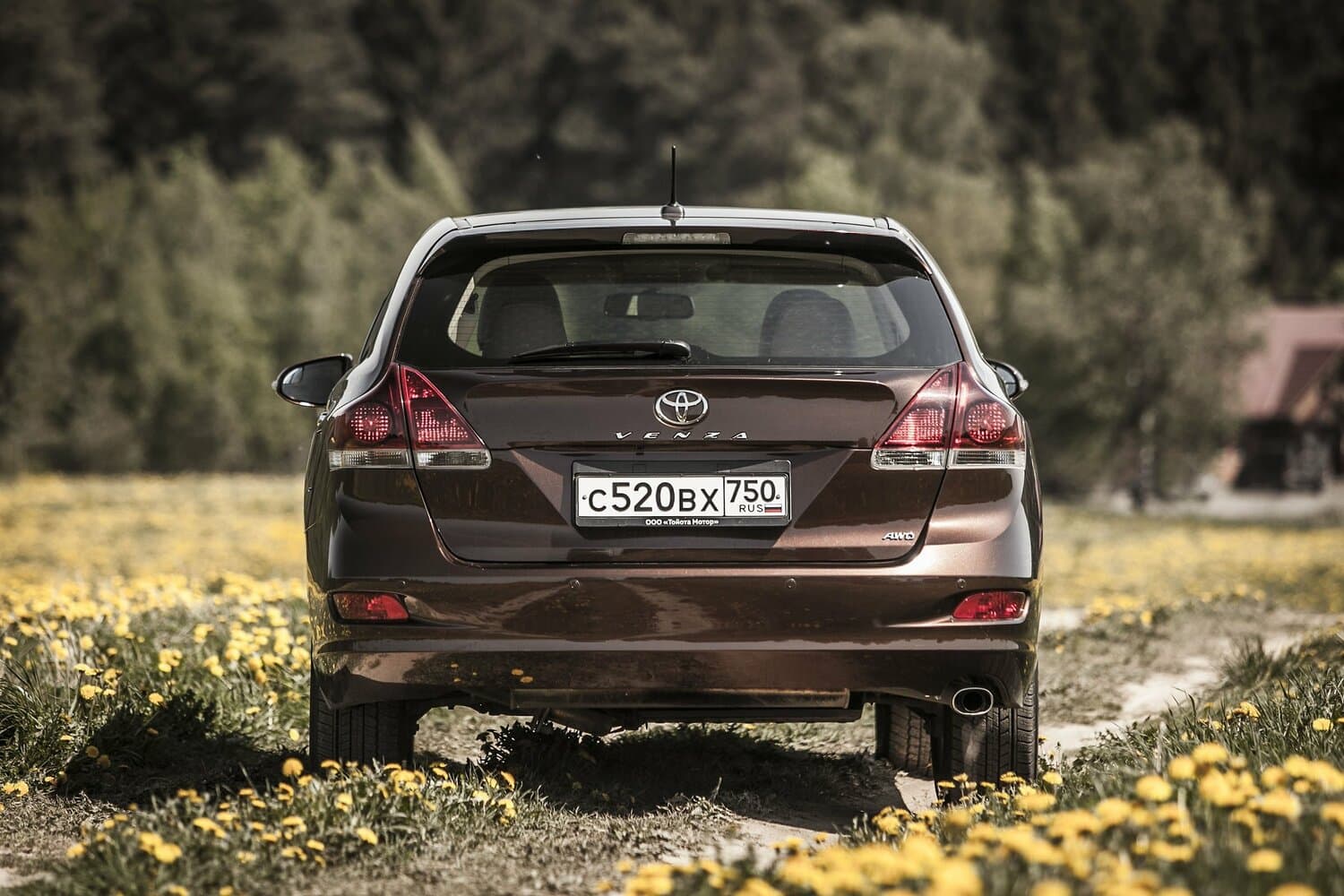 Toyota Venza I Рестайлинг Внедорожник 5 дв., фото 18