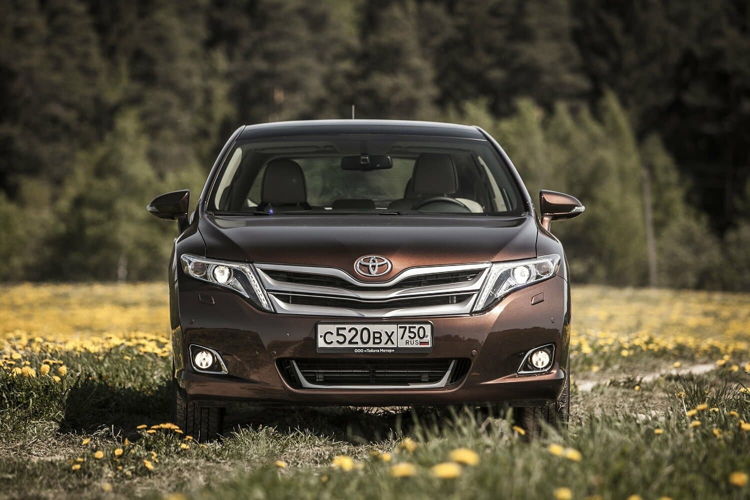 Toyota Venza I Рестайлинг Внедорожник 5 дв., фото 17