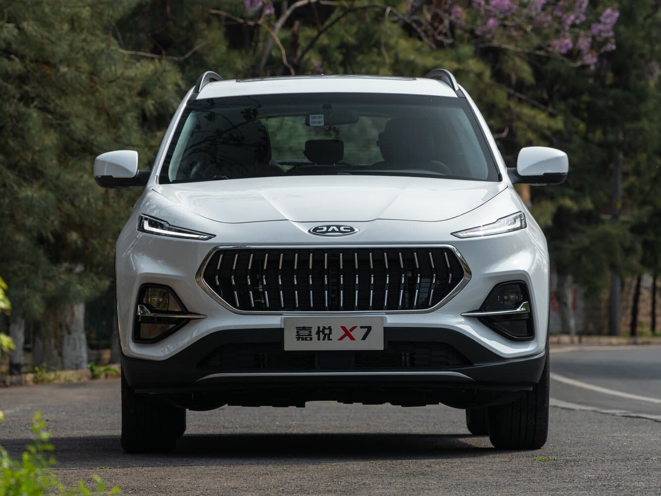 JAC S7 I Внедорожник 5 дв., фото 3
