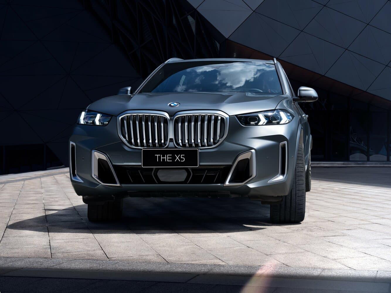 BMW X5 IV (G05/G18) Рестайлинг Внедорожник 5 дв. Long, фото 3