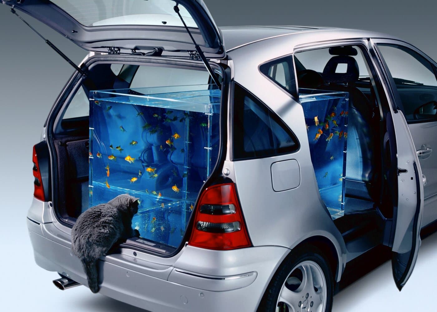 Mercedes-Benz A-Class I (W168) Рестайлинг Хэтчбек 5 дв. Long, фото 6